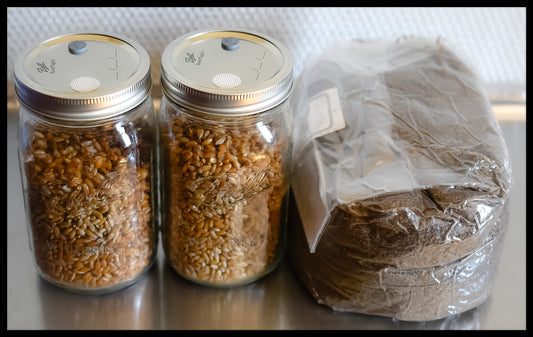 2 Jars of Grain and 5 Pounds Substrate