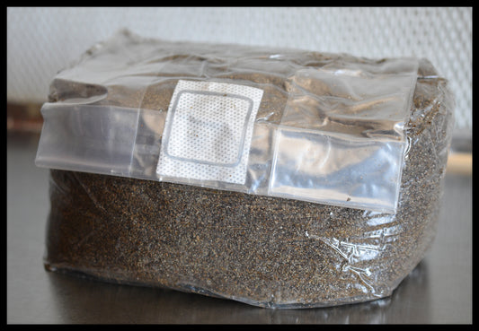 5 Pounds Pastureized Custom Blend Substrate