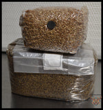 3 Pound Bag of Rye Berries and 5 Pounds Substrate