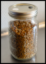 1 Sterilized Jar of Grain
