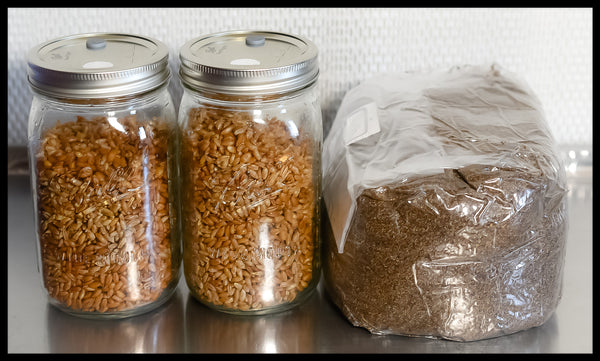 Organic Wheat Berries - Mushroom Grain Spawn Substrate - Quart Jar