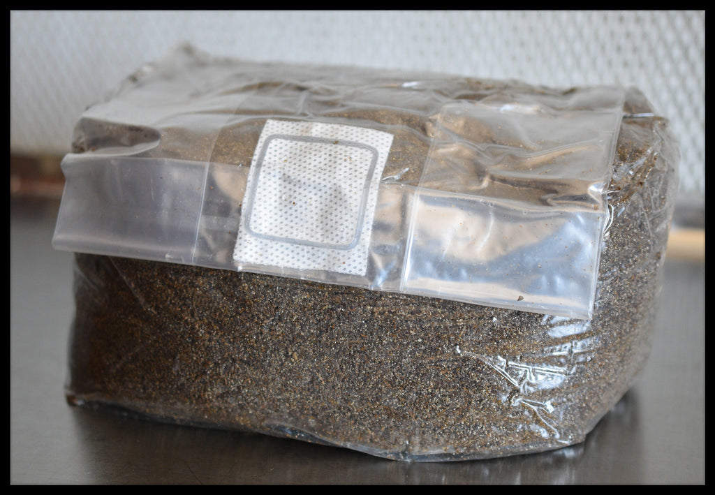5 Pounds Pastureized Custom Blend Substrate (Manure Based)