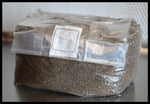 5 Pounds Pastureized Custom Blend Substrate (Manure Based)