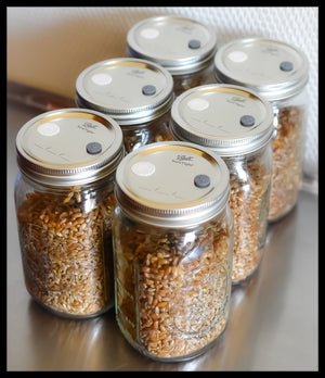 6 Sterilized Jars of Grain